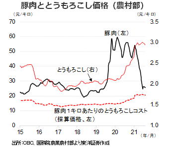 豚肉ととうもろこし価格（農村部）