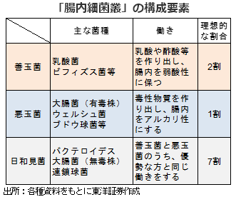 「腸内細菌叢」の構成要素