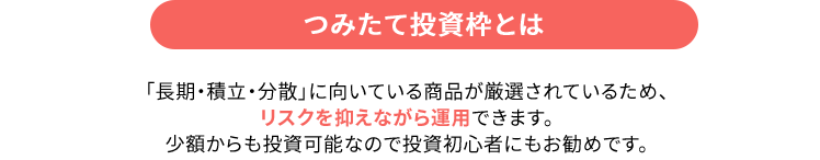 つみたて投資枠とは 「長期・積立・分散」に向いている商品が厳選されているため、リスクを抑えながら運用できます。少額からも投資可能なので投資初心者にもお勧めです。