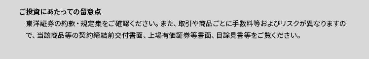 ご投資にあたっての留意点