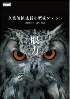 【投資信託】企業価値成長小型株ファンド〈愛称：眼力〉